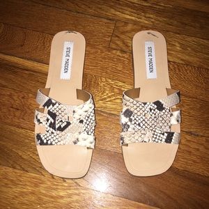 Snake Print Steve Madden Sandals